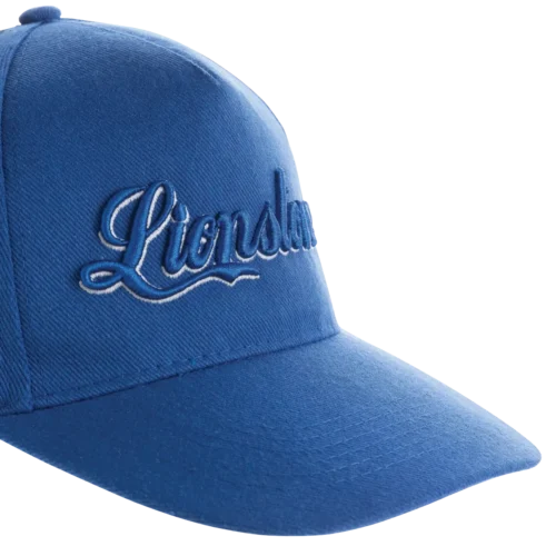 Premium black cap with exclusive 3D embroidered company logo